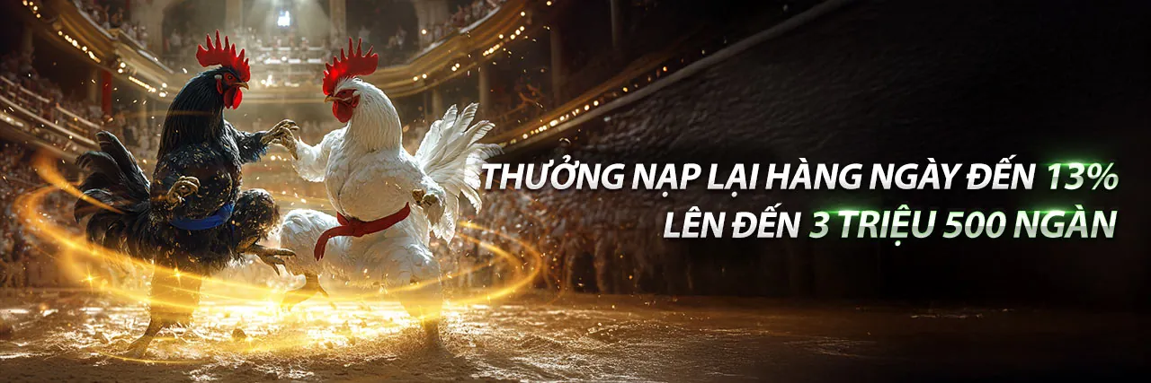 Đá gà Thomo ngày 5 tháng 7 năm 2024